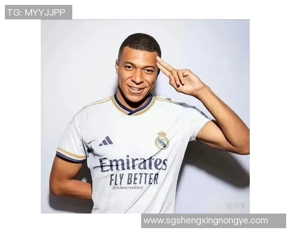 回顾上届世界足球明星名单揭示的传奇球员与未来之星的精彩瞬间