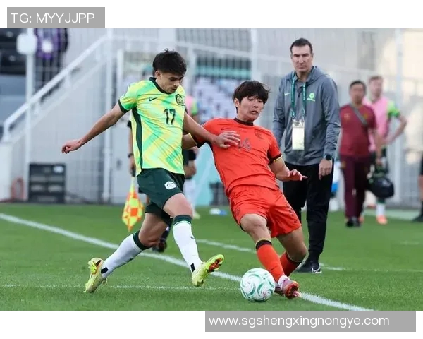 足球明星手球进门精彩瞬间合集与经典瞬间回顾