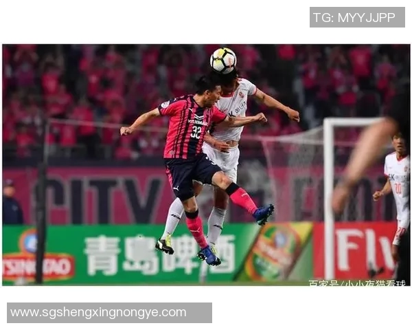 广岛与樱花比赛数据深度分析揭示球队表现与战术特点