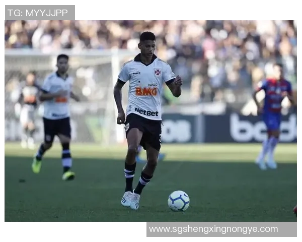 瓦斯科与博塔弗对决分析：谁能在这场较量中脱颖而出