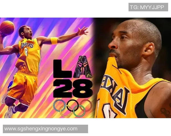 科比传奇：从篮球场上的黑曼巴到全球偶像的奋斗之路