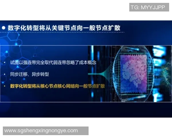 篮球明星投资区块链平台推动体育产业数字化转型与创新发展